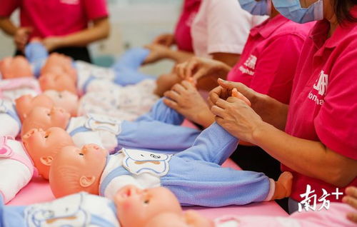 一次性補助15萬，中山大力扶持家政服務培訓基地建設