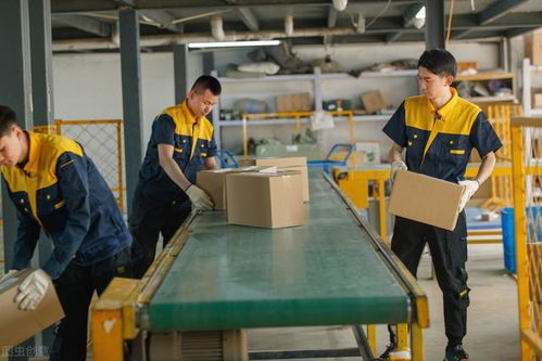 馬云預言 后疫情時代，家政服務或成新財富風口